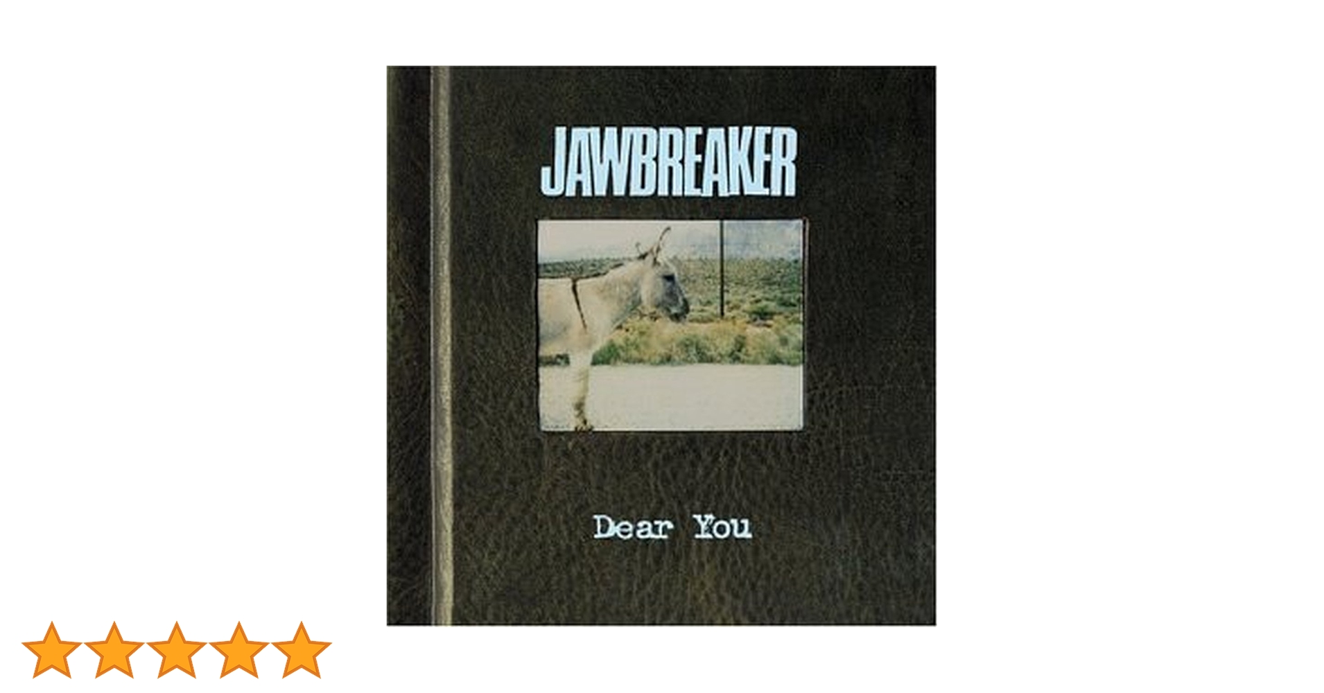 Jawbreaker Dear You 限定版 レコード Jawbreaker Dear You オリジナル盤レコード Dear You LP